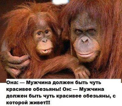 Прикрепленное изображение: 13754379_1632084893786961_8019033448969955682_n.jpg